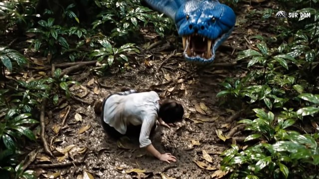 Part 38 - A Girl Alone Surviving In The Forest - Giant Python vs Crocodile Battle in the Wild Jungle