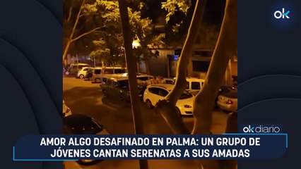 Amor algo desafinado en Palma: un grupo de jóvenes cantan serenatas a sus amadas