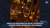 Amor algo desafinado en Palma: un grupo de jóvenes cantan serenatas a sus amadas