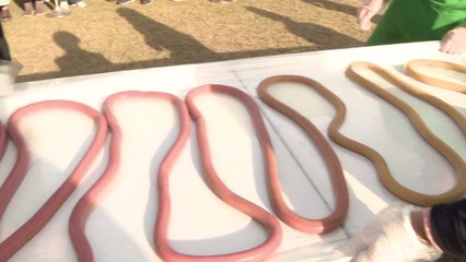 갓 지은 쌀밥에 가래떡까지...'이천쌀문화축제' 개막 / YTN