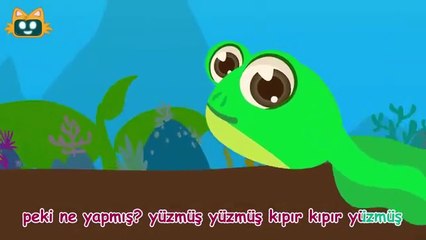 Küçük Tavşan ile Tombik Ayı Sek Sek Oynuyor | 30 Dakikalık Miniyo Şarkıları