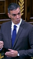 Sánchez a Feijóo: "¿Lo suyo son lapus o incultura?"