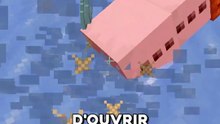 Un NOUVEAU serveur COMMUNAUTAIRE ?! 😱