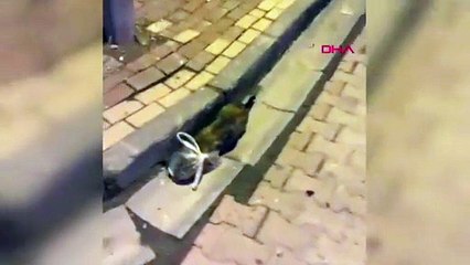 Bursa'da vicdansızlığın böylesi! Esnaf kurtardı