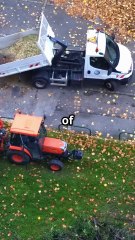 Why You Should Stop Raking Leaves This Fall 🍂 | Nature’s Secret Benefit