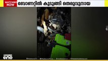 പൂച്ചയെ പിടിക്കാൻ എത്തി; കണ്ണൂർ ചാലയിൽ തെരുവ് നായ കാറിന്റെ ബോണറ്റിൽ കുടുങ്ങി