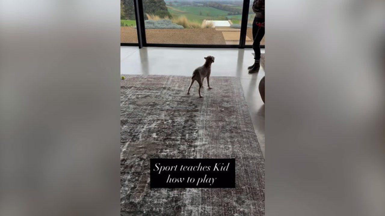 Ellen DeGeneres gives fans a rare glimpse inside her Cotswolds mansion after relocating to England with Portia de Rossi