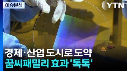 과학수도 대전, 경제·산업 도시로 도약...꿈씨패밀리 효과 '톡톡' / YTN