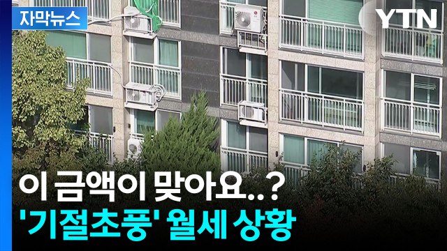 [자막뉴스] '전세' 씨 마르자 월세로 내몰리는 세입자들...내년 더 심각해질 듯 / YTN