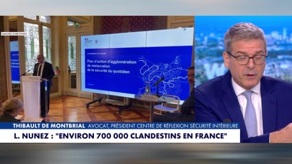Thibault De Montbrial évoque l'immigration illégale en France