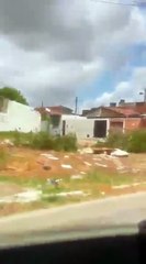 Vídeo mostra cavalo exausto com carroça, em Maceió