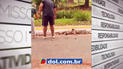 Sucuri é resgatada na UFPA