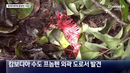 캄보디아 길거리 포대 자루에서 동양인 시신 발견