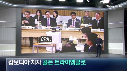 캄보디아 치자 ‘골든 트라이앵글’로…“범죄조직 유입 우려”