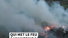 Qui met le feu à l'Amazonie?