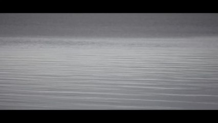 Tommaso Iacoviello - BIRDS (GleAM Records 2025)