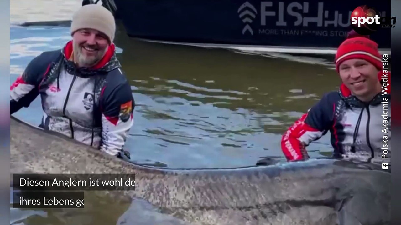 Rekord-Fang: Angler ziehen Riesenwels aus dem Wasser