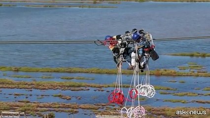 Terna, a Piombino nuovi dissuasori a tutela avifauna