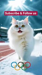 cat wins Olympics #cat #catvideos #lifeisbutadream #olympics