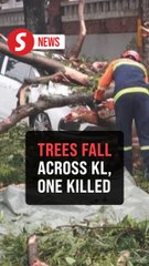 Man killed, woman injured as trees fall across KL