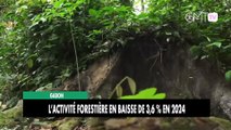 [#Reportage] Gabon : L’activité forestière en baisse de 3,6 % en 2024