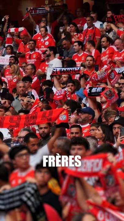 Ce samedi se joue le match le plus important de Benfica : ses présidentielles.