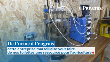 De l’urine à l’engrais : ils veulent faire de nos toilettes une ressource pour l’agriculture