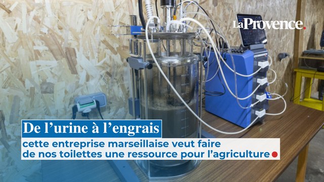 De l’urine à l’engrais : ils veulent faire de nos toilettes une ressource pour l’agriculture