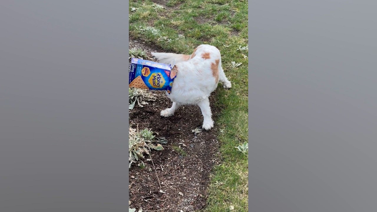 Caught in the Act