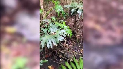 Demolição da antiga ponte da Lagoa causa extravasamento de esgoto e preocupa moradores