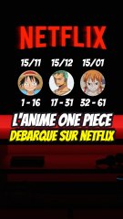 One peace débarque sur netflix !