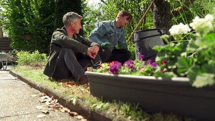 Rote Rosen 4226 folge