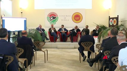 Made in Italy: Saccani (Consorzio di Tutela della Mozzarella di Bufala Campana DOP) “solo la qualità può farci competere sui mercati internazionali”