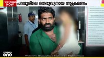 'ചികിത്സാ സഹായം ലഭിച്ചില്ല'; മൂന്നര വയസുകാരിക്ക് തെരുവുനായയുടെ കടിയേറ്റ സംഭവത്തിൽ പിതാവ്