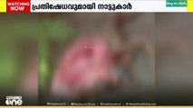 പാലക്കാട് കാഞ്ഞിരപ്പുഴയിൽ പുലി നായയെ കടിച്ച് കൊന്നു