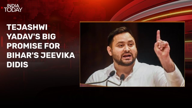 Bihar polls: Are Tejashwi Yadav poll promises feasible? Experts debate