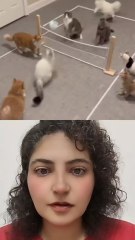 تكنولوجيا خطيرة 💞#viralreelsシ #fyp #viral #ai #funnyreels