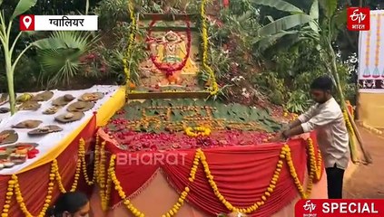 सबसे बड़ी गौशाला में सबसे बड़े गोवर्धन की पूजा, गौवंश के लिए प्रसाद में लगा 56 भोग