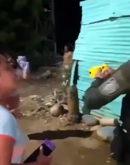 VIDEO: Mujer 'celosa' apuñaló a su esposo y atacó a policías armados