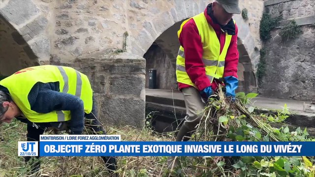 La tempête Benjamin frappe la Loire / Désherbage des berges du Vizézy / Loïc Vergnaud avec des jeunes en situation de handicap / Programmation du Zénith