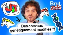 Le JT Kids - Porcs, chevaux, maïs, pourquoi faisons-nous des modifications génétiques ?