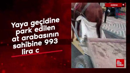 Edirne'de yaya geçidine park edilen at arabasının sahibine 993 lira ceza