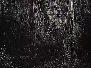 Otpisani (1974) -  E10 Vlada Rus