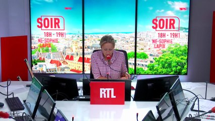 Taylor Swift et les loutres de mer