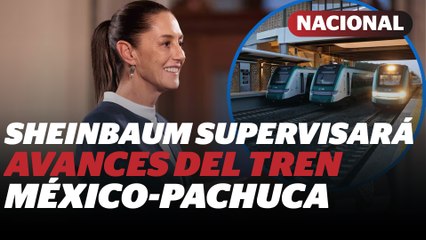 Trenes de pasajeros: 66% avanza sobre vías existentes y sin intermediarios | Reporte Indigo