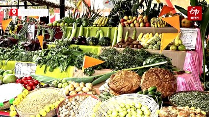 सबसे बड़ी गौशाला में सबसे बड़े गोवर्धन की पूजा, भगवान गोवर्धन और गौवंश के लिए 56 भोग