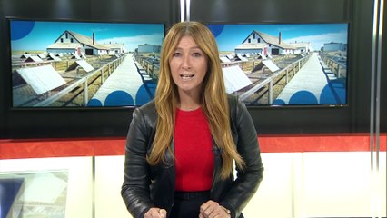 TVA Nouvelles CHAU 12h 22 octobre 2025