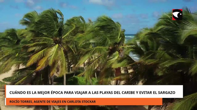 Cuándo es la mejor época para viajar a las playas del Caribe y evitar el sargazo