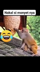 Ada ada aja kau nyeeet