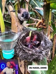 Senin gibi anne Olmaz Olsun